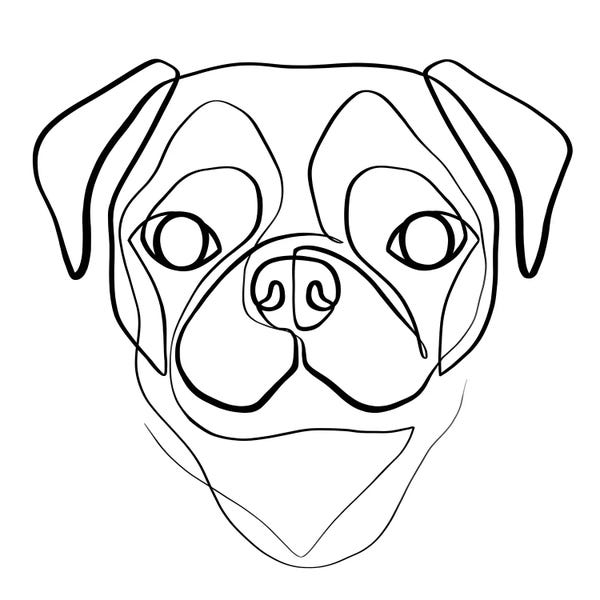 Dane Khy: Pug by Dane Khy