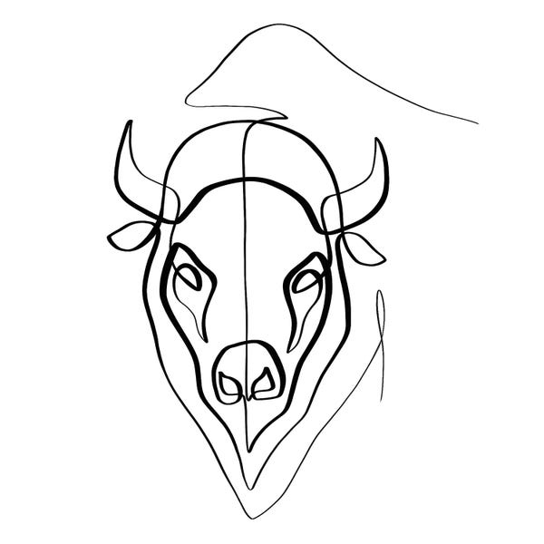 Dane Khy: Bison by Dane Khy