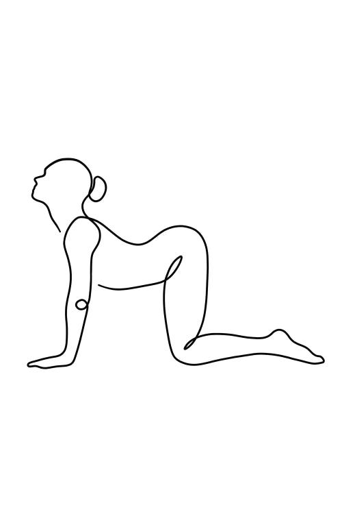 Yoga Cow Pose by Dane Khy wall art