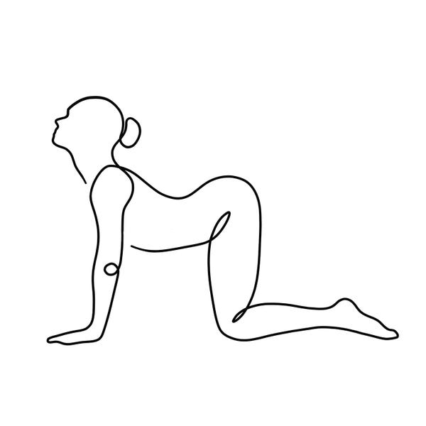 Dane Khy: Yoga Cow Pose Square by Dane Khy