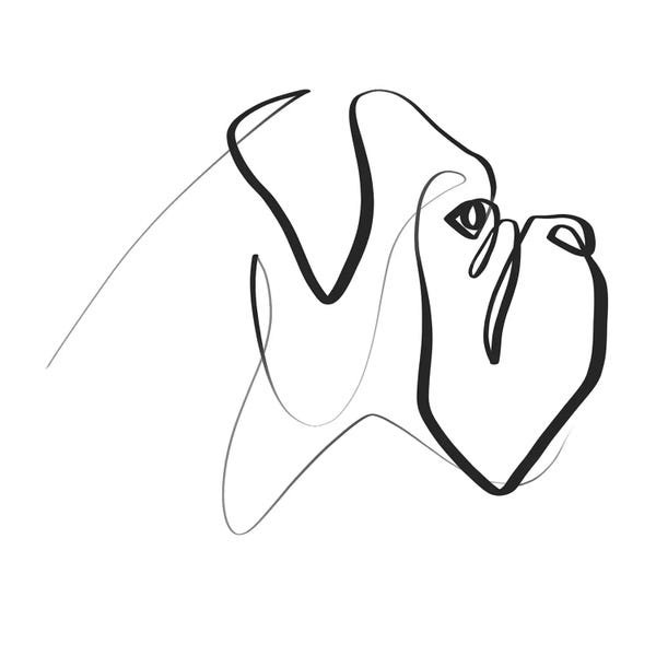 Black & White: Boxer by Dane Khy