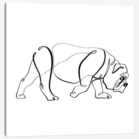 Bulldog I Canvas Print #KHY7} by Dane Khy Canvas Print