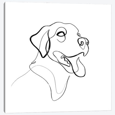 Black And Brown Lab Dog Canvas Print #KHY86} by Dane Khy Canvas Print