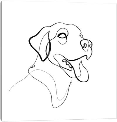 Black And Brown Lab Dog Canvas Art Print - Line Art