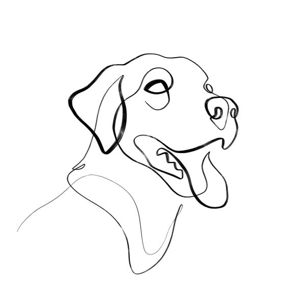 Dane Khy: Black And Brown Lab Dog by Dane Khy