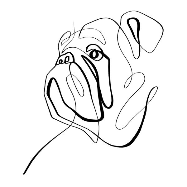 Dane Khy: Bulldog II by Dane Khy