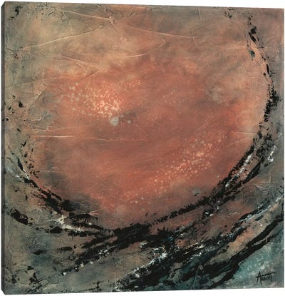 Desert Moon Canvas Art Print