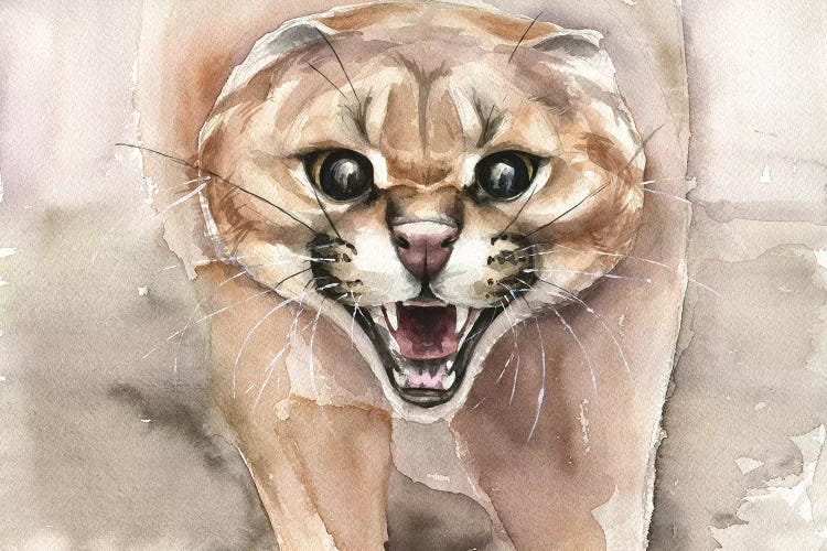 Angry Cat