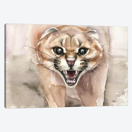 Angry Cat Canvas Print #KIB1} by Kira Balan Canvas Print
