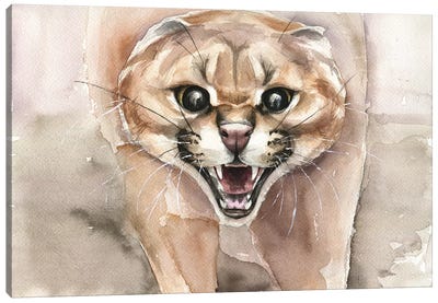 Angry Cat Canvas Art Print - Kira Balan