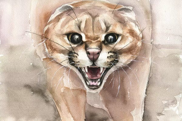 Angry Cat