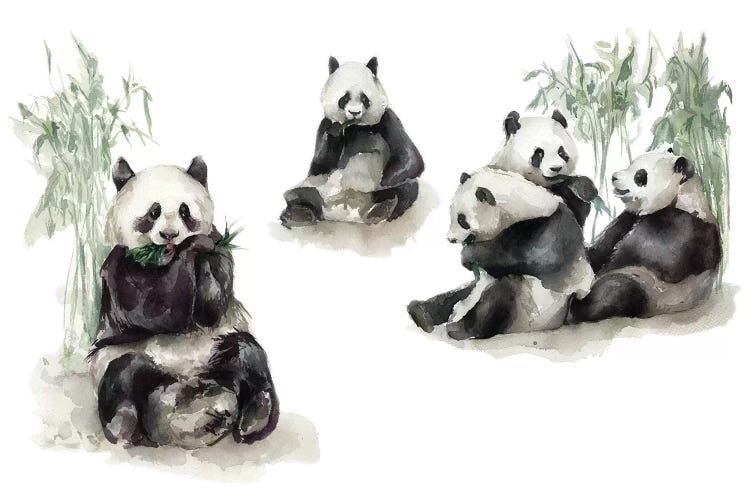 Pandas