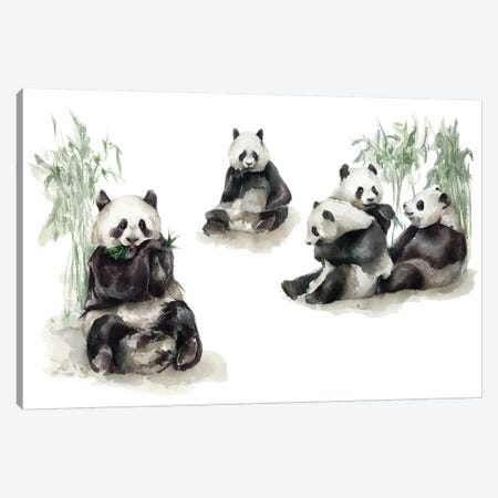 Pandas Canvas Print #KIB21} by Kira Balan Canvas Artwork