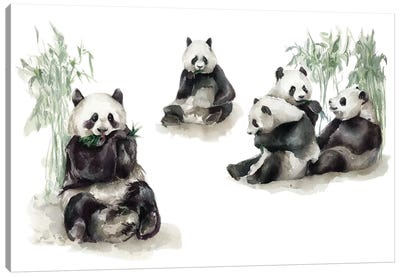 Pandas Canvas Art Print - Kira Balan