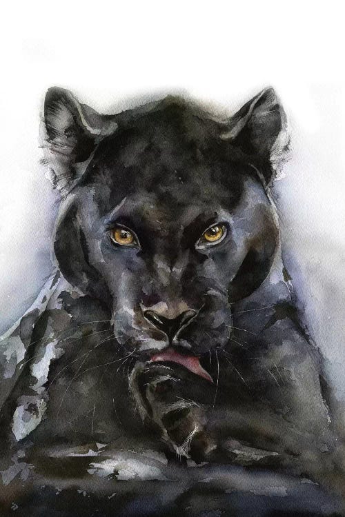 Panther