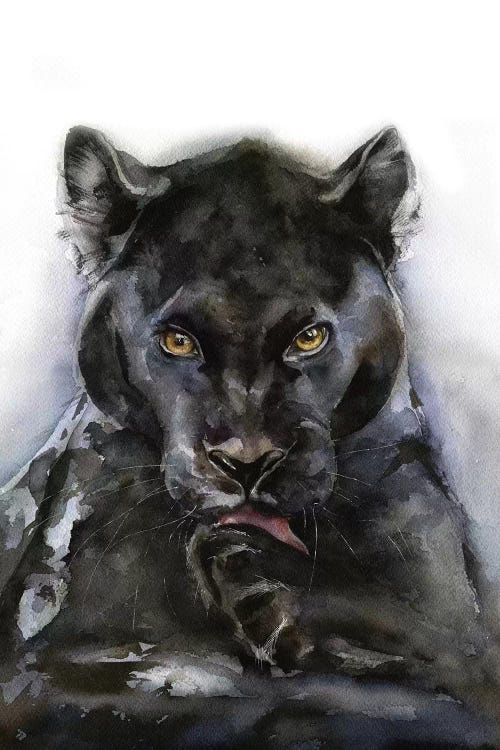 Panther by Kira Balan wall art