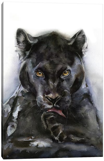 Panther Canvas Art Print - Kira Balan