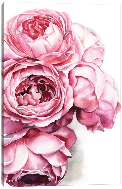 Peony Canvas Art Print - Pink Art