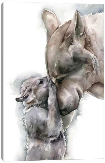 Wolves Canvas Art Print - Kira Balan