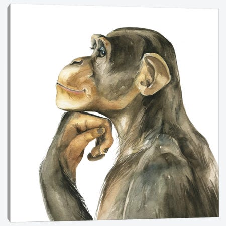 Monkey Canvas Print #KIB34} by Kira Balan Canvas Art