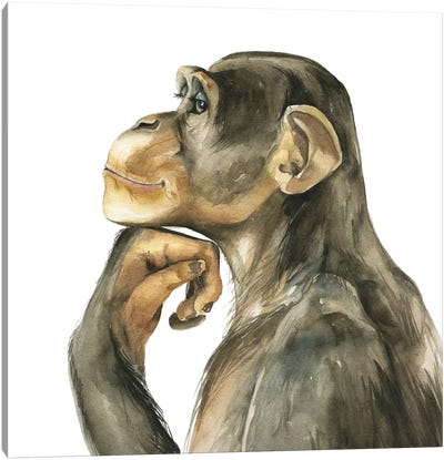 Monkey Canvas Art Print - Kira Balan
