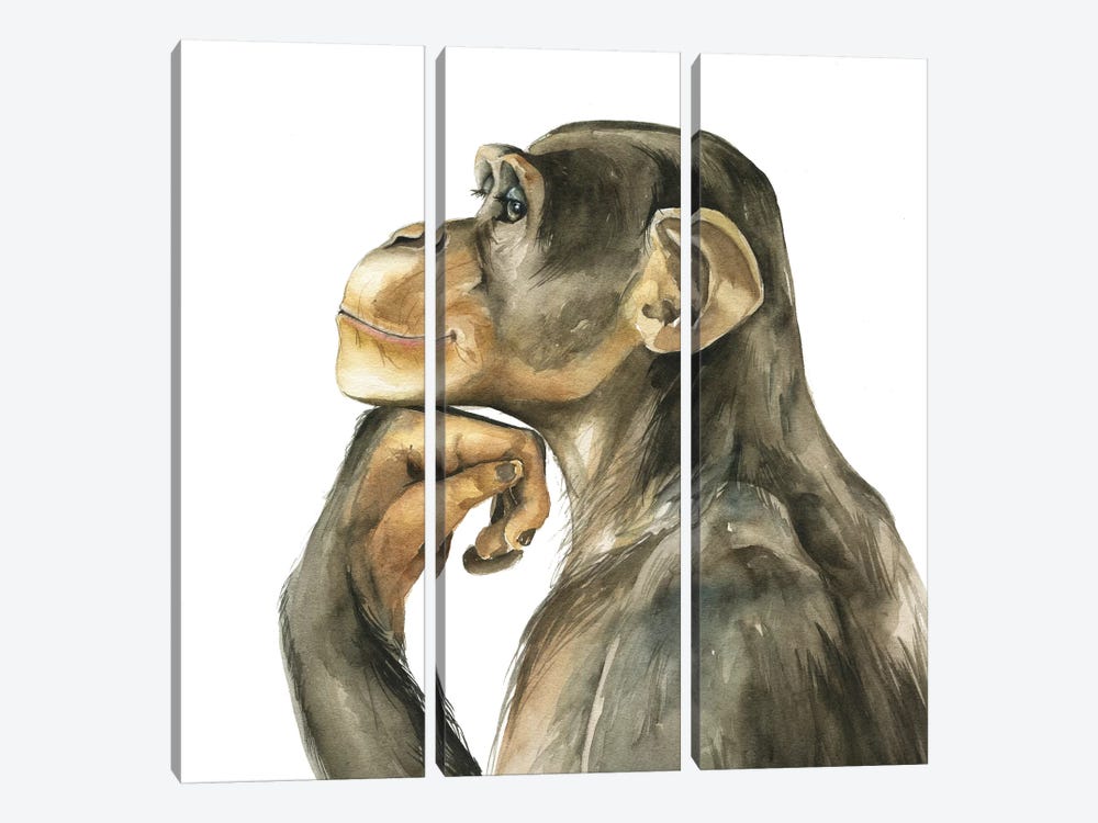 Monkey by Kira Balan 3-piece Canvas Art Print