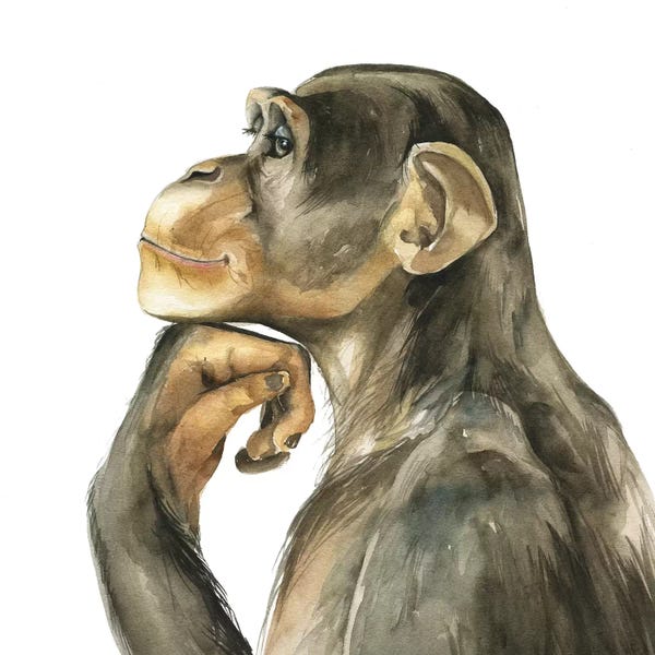 Primates: Monkey by Kira Balan