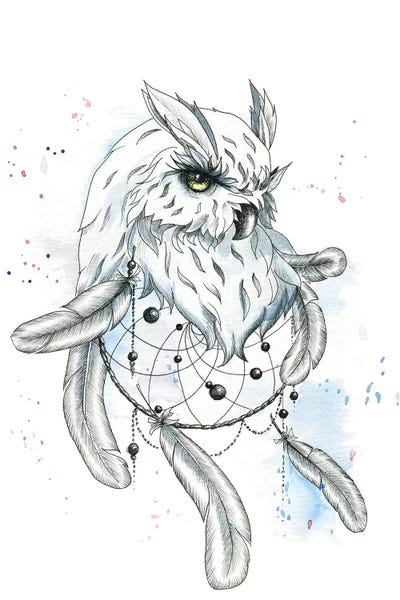 Owl I by Kira Balan framed canvas print