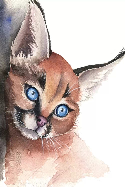 Caracal by Kira Balan wall art