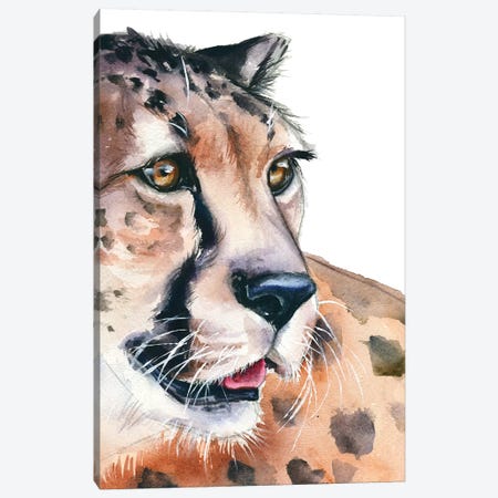 Cheetah Canvas Print #KIB39} by Kira Balan Canvas Art Print