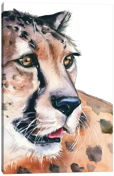 Cheetah Canvas Art Print - Kira Balan