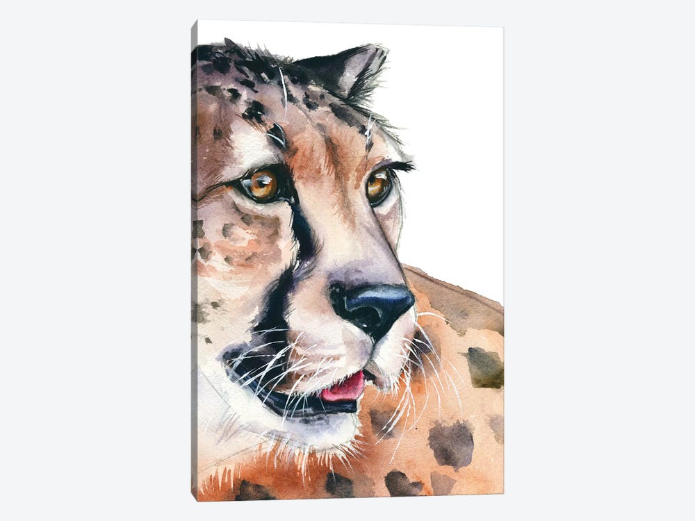 Cheetah by Kira Balan 1-piece Canvas Artwork