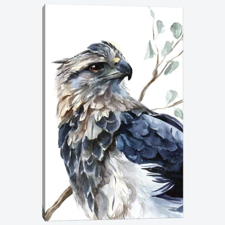 Eagle Canvas Print #KIB3} by Kira Balan Art Print