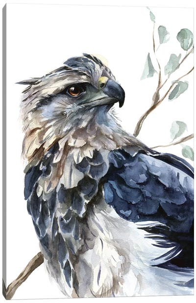 Eagle Canvas Art Print - Kira Balan