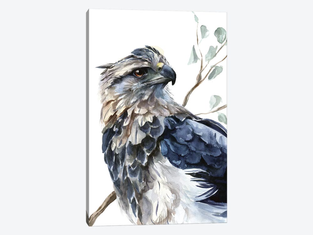 Eagle by Kira Balan 1-piece Canvas Print