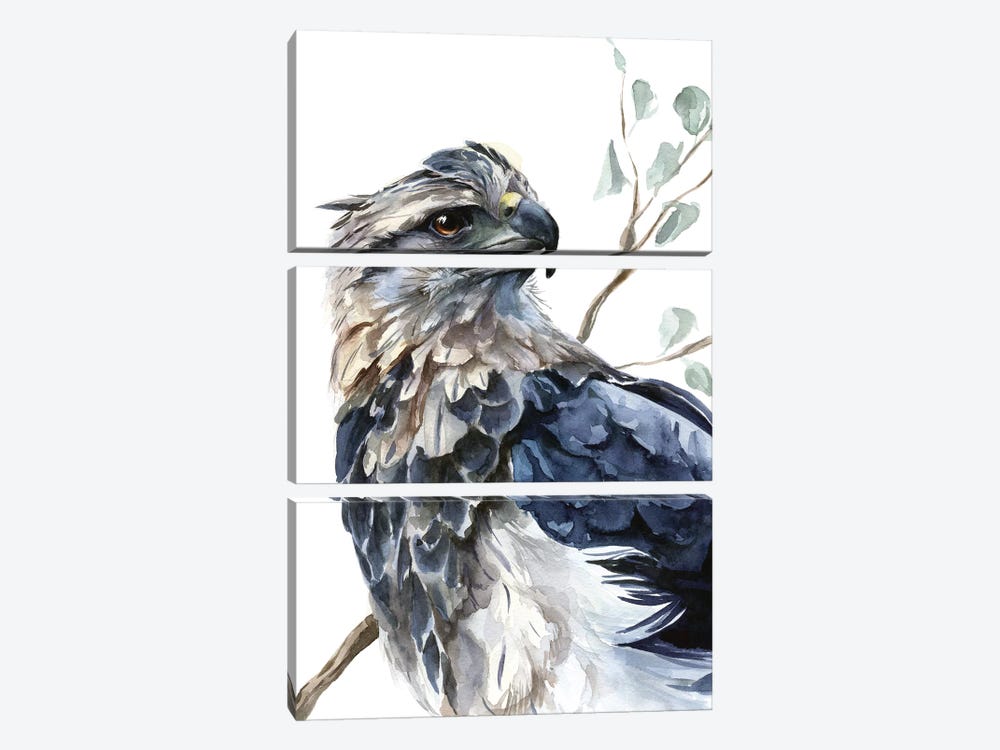 Eagle by Kira Balan 3-piece Canvas Print