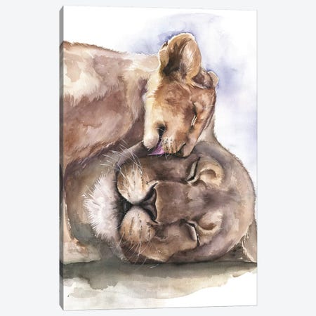 Happy Lions Canvas Print #KIB40} by Kira Balan Canvas Art