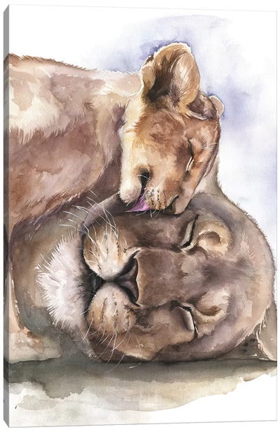 Happy Lions Canvas Art Print - Kira Balan