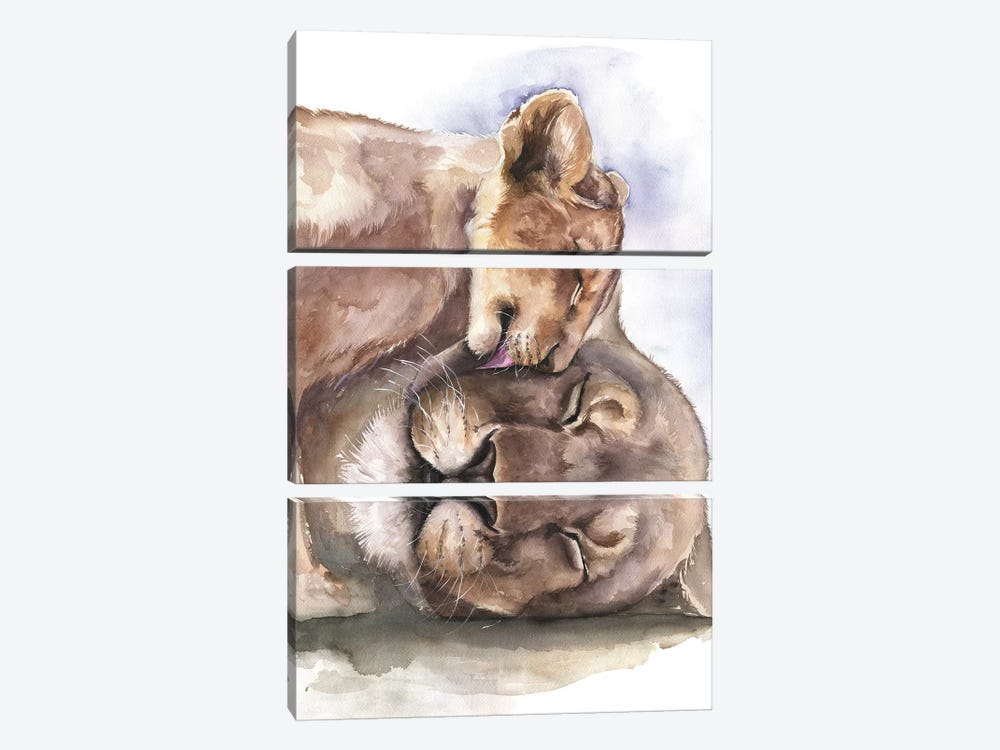 Happy Lions by Kira Balan 3-piece Canvas Art