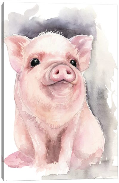 Piggy Canvas Art Print - Baby Animal Art
