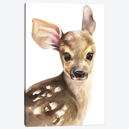 Deer Canvas Print #KIB45} by Kira Balan Canvas Print