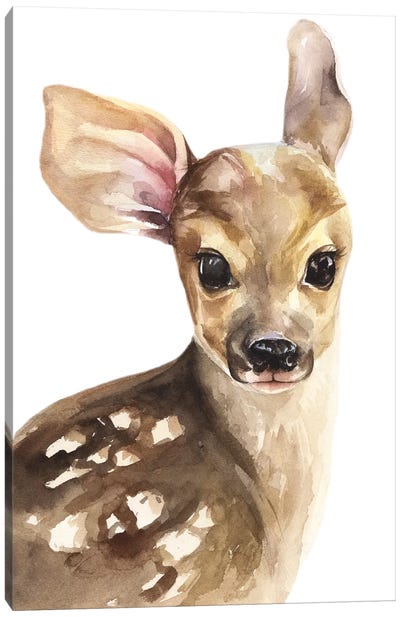Deer Canvas Art Print - Kira Balan