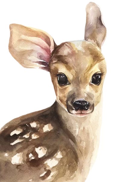 Kira Balan: Deer by Kira Balan