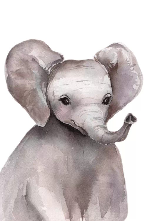 Elephant by Kira Balan wall art