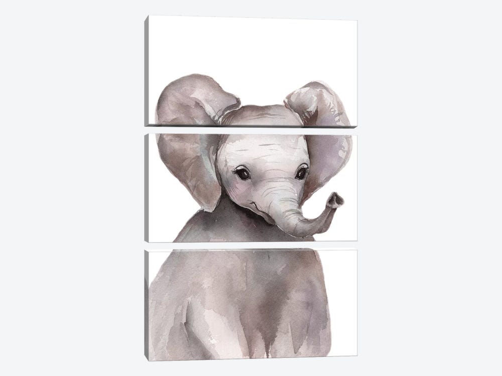 Elephant by Kira Balan 3-piece Canvas Artwork