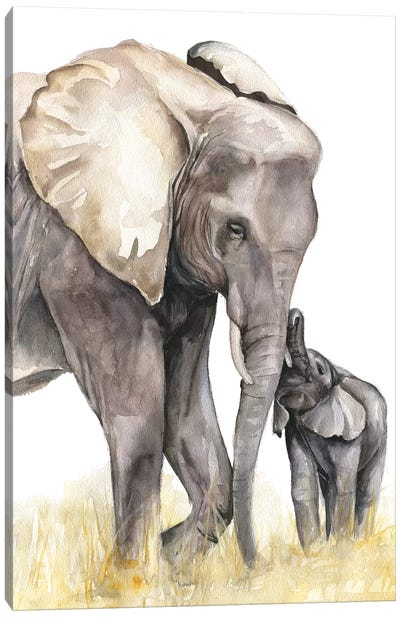 Elephants Canvas Art Print - Kira Balan