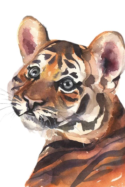 Tiger by Kira Balan wall art