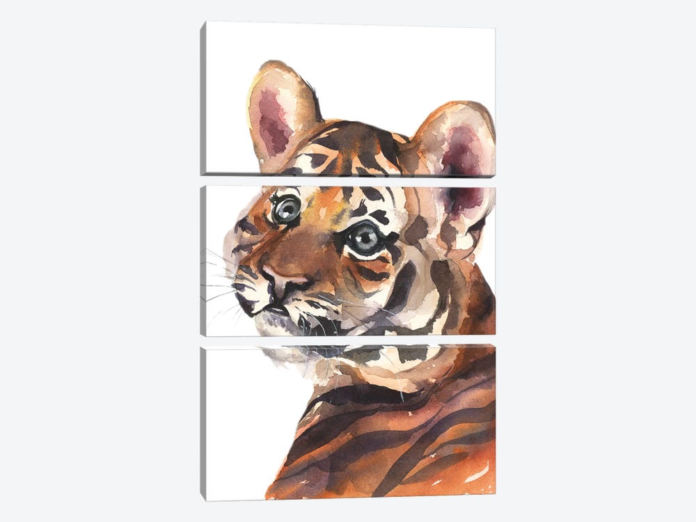 Tiger by Kira Balan 3-piece Canvas Art Print
