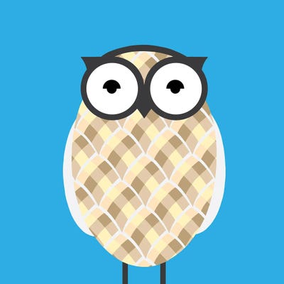 Owl Blue by 5by5collective canvas print