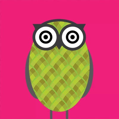 Owl Pink by 5by5collective canvas print